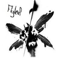 FlyLeaf