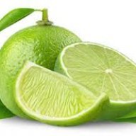 ArcticLime