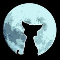 MoonCat